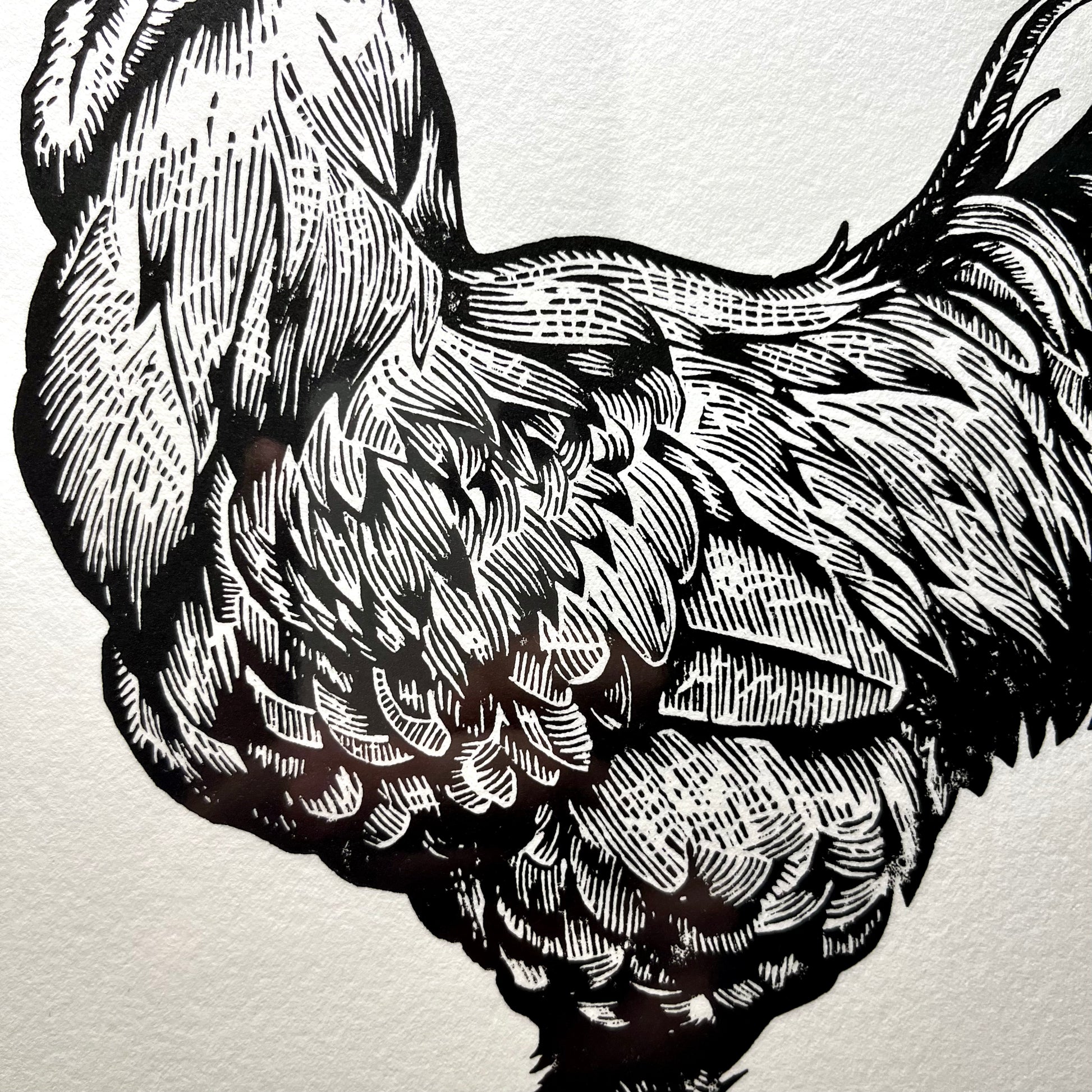 "Nice Cock” LINOCUT PRINT Queero Gear