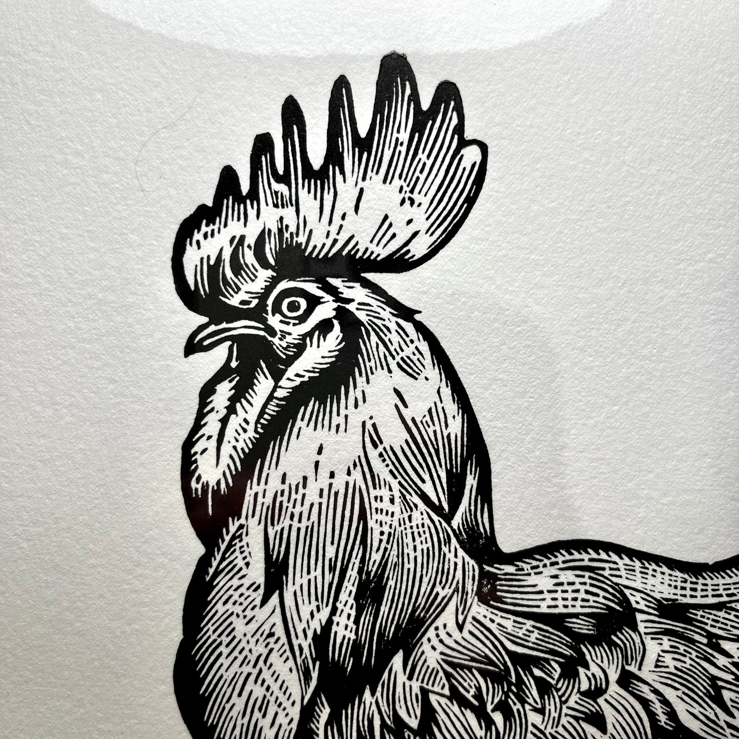 "Nice Cock” LINOCUT PRINT Queero Gear